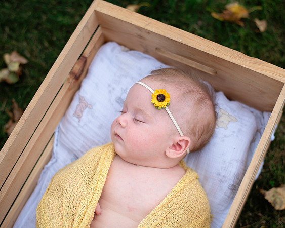 yellow (9 of 9)