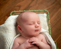 Ivar (7 of 35)