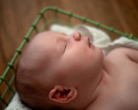 Ivar (17 of 35)
