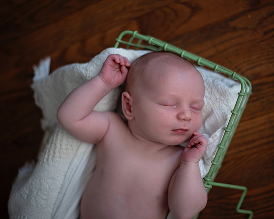 Ivar (24 of 35)