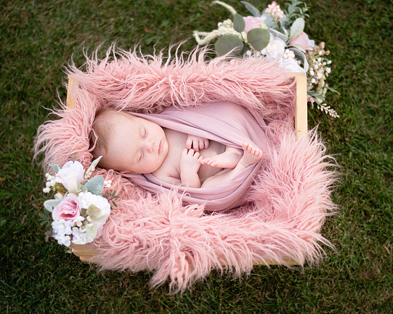 pink (10 of 10)