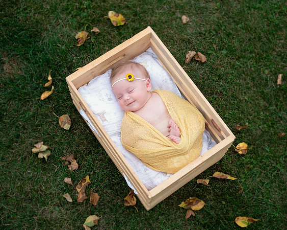 yellow (7 of 9)