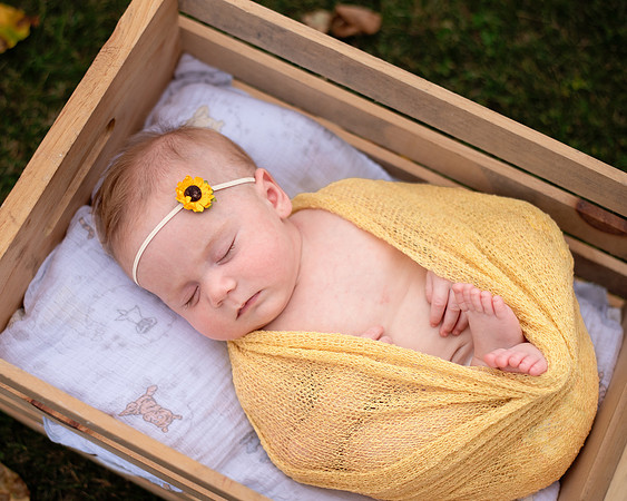 yellow (4 of 9)
