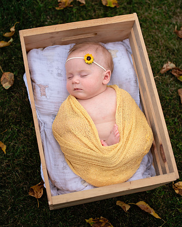 yellow (2 of 9)