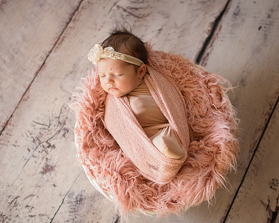 Addie-2