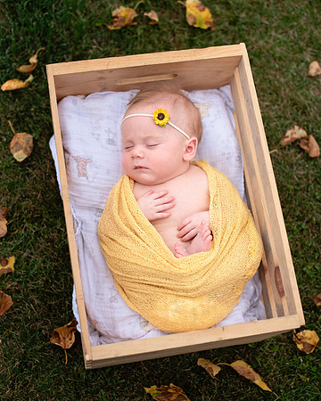 yellow (1 of 9)