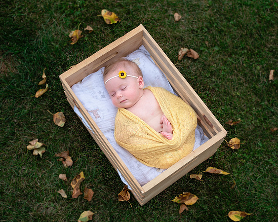 yellow (5 of 9)