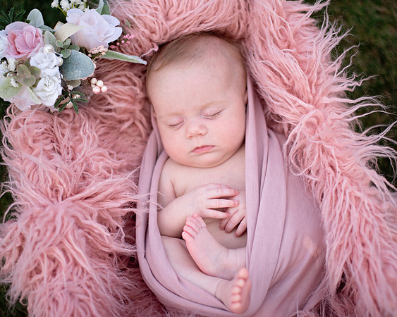 pink (2 of 10)